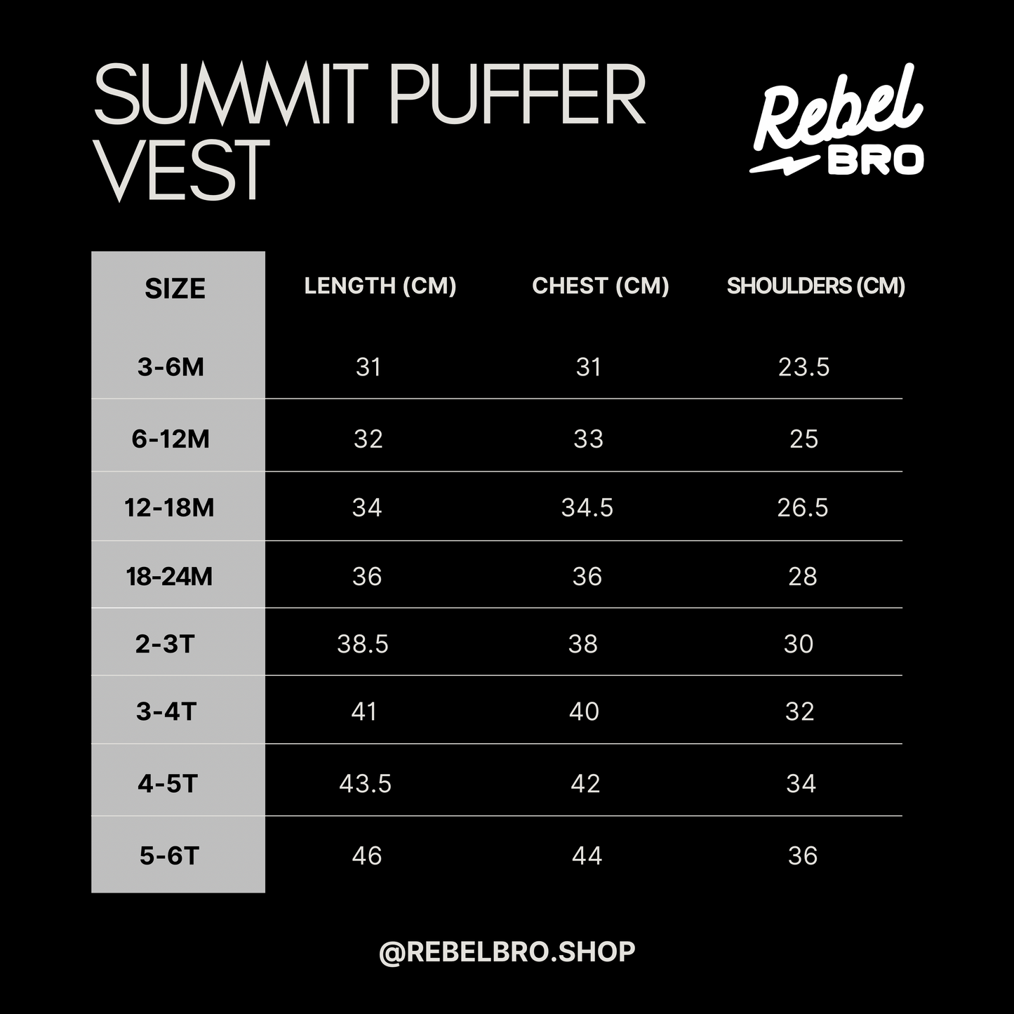 Summit Puffer Vest — Venice