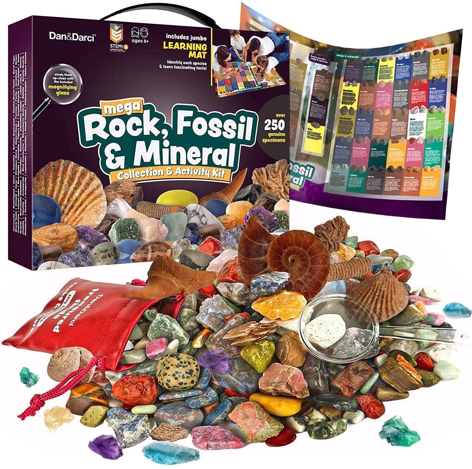 Mega Rock, Fossil & Mineral Collection – Worn Wild